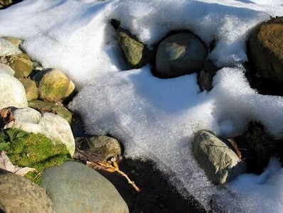 Rocks in snow.