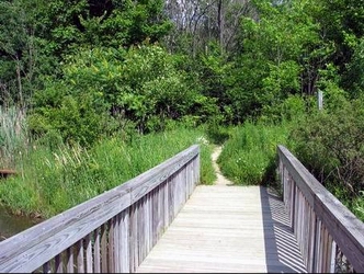 Bridge and path.